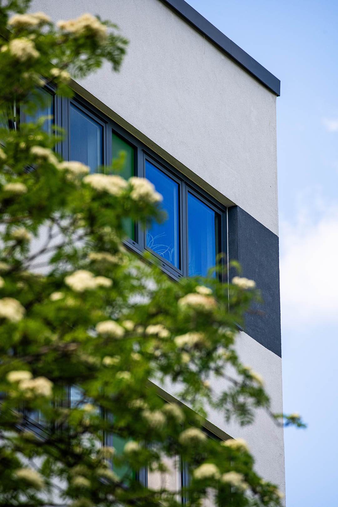 Close up of Tremont House Installation
